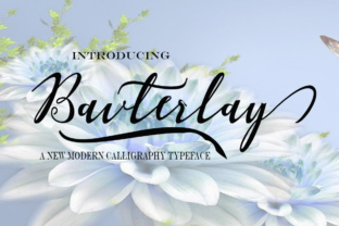 Bavterlay: A Modern Script Font for Editorial Elegance