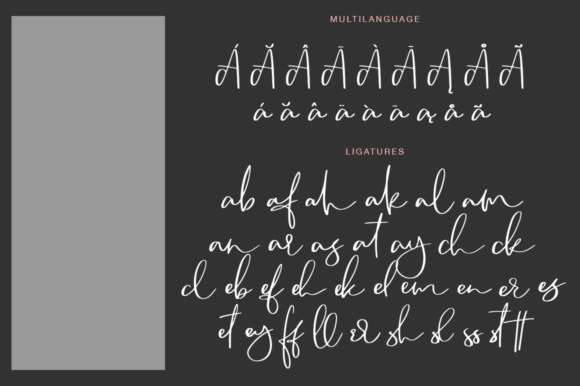 Camsay Font: A Fresh Script for Creative Makers and Handmade Businesses