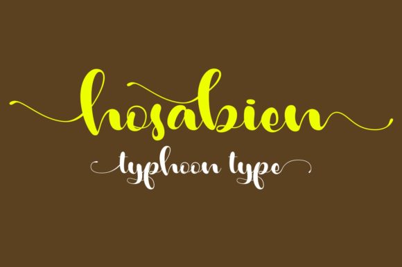Hosabien Font Review: A Feminine Script for Upscale Branding
