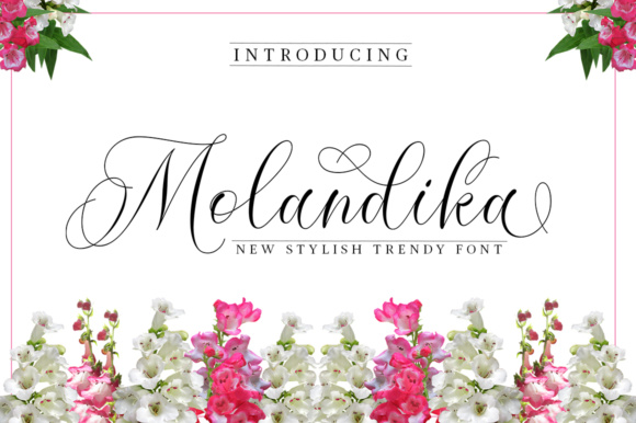 How Molandika Font Helped My Brand Look More Polished