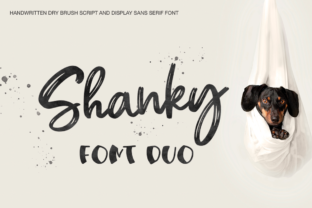 Shanky Typeface: Elevating Digital Brand Identity with Script and Sans