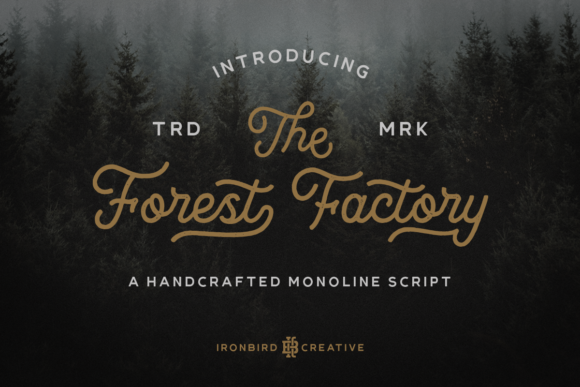 The Forest Factory Typeface: A Designer’s Review for Campaign Visuals