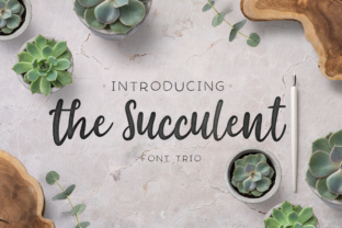 The Succulent Trio: A Feminine Script Font for Modern Brand Identity