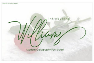 Williams: A Modern Script Typeface for Editorial Design